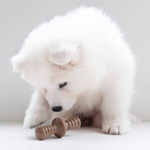 Benebone Puppy Bacon Dog Toy - S - 2pk