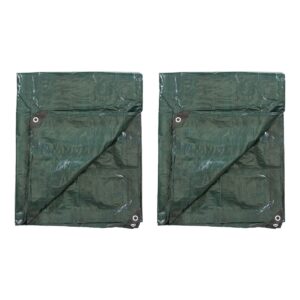 Stansport Medium-Duty Rip-Stop Tarp 10' x 12' - Forest Green - 2 Pack