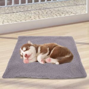 Pet Genius Heated Pet Pad - M