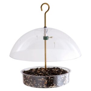 Droll Yankees Seed Saver Bird Feeder - Clear
