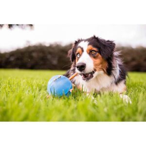 Planet Dog Orbee-Tuff Guru Interactive Puzzle Dog Toy - Blue