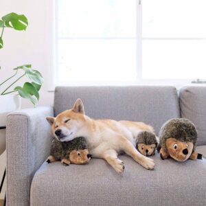 Outward Hound Hedgehogz Plush Dog Toy - M