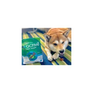 Fruitables BioActive Dental Chews for Tiny Dogs 6 Week Supply Dog Treats - 22ct