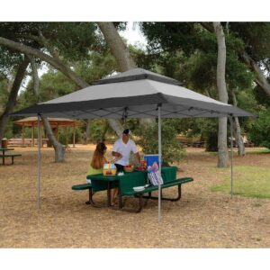 Z-Shade 13 x 13 Foot Instant Gazebo Canopy Outdoor Shelter with Bug Screen, Gray