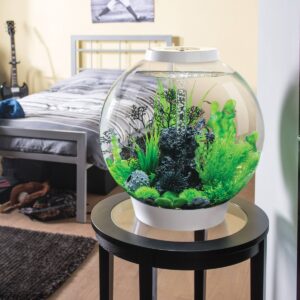 biOrb Feather Fern Set Aquarium Artificial Plants - Green - S
