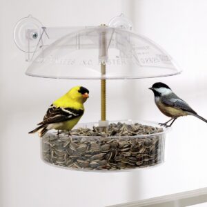 Droll Yankees Classic Winner Window Bird Feeder - White