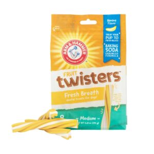 Arm & Hammer Twisters Banana Flavor Chewy Dog Treats - 8ct