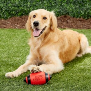 NERF Classic Squeak Football Dog Toy - Red - 5"