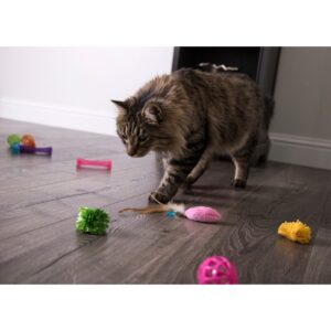 SmartyKat Smarty Stash Variety Cat Toy - 13pk