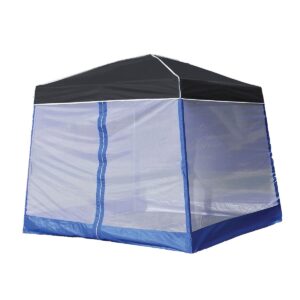 Z-Shade 10' x 10' Angled Leg Instant Black Canopy Shelter with Screen & Weights
