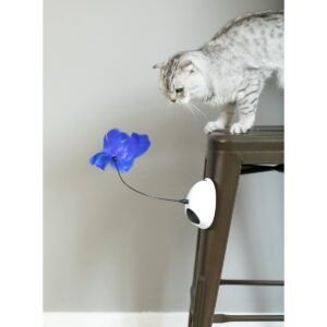 PawsMark Interactive 2-in-1 Spring Feather and Red Light Chaser Cat Toy