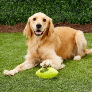 NERF Blitz Squeak Football Dog Toy - Green - 7"