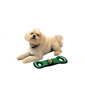 NCAA Iowa Hawkeyes Field Dog Toy