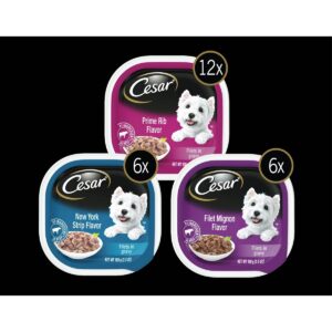 Cesar Filets In Gravy Wet Dog Food - 3.5oz/24ct Variety Pack