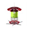 Birds Choice 3qt Forever Black Oil Sunflower Bird Feeder - Red