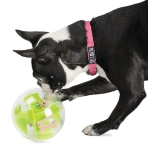 Planet Dog Orbee-Tuff Mazee Interactive Puzzle Ball Dog Toy - Green