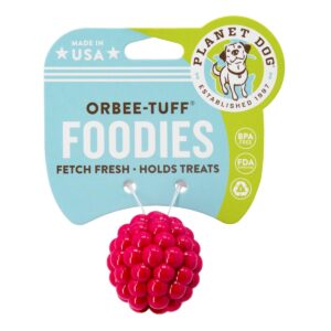 Planet Dog Orbee-Tuff Raspberry Dog Toy