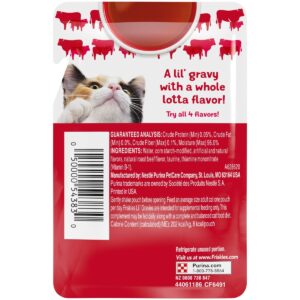 Friskies Gravies Roast Beef Flavor Wet Cat Food - 1.92oz