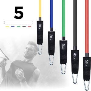 Letsfit Resistance Exercise Bands Set with Handles, Door Anchor, Ankle Straps and Carry Bag - JSD04-01