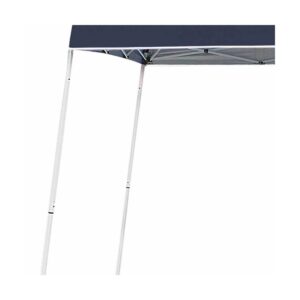Z-Shade 10 x 10 Foot Angled Leg Instant Shade Outdoor Canopy Tent Portable Shelter with Durable Steel Frame and Carrying Bag, Navy