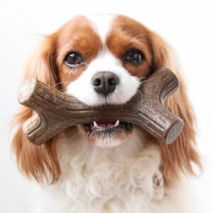 Benebone Maple Stick Dog Toy - S