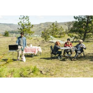 Stansport Apex Folding Sling Back Chair