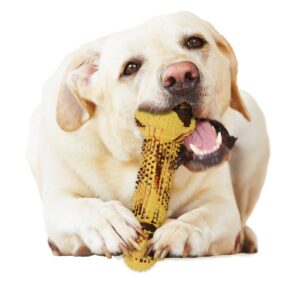 Nylabone Steak and Potatoes Flavored Rubber Duel Action Dog Chew Toy - L