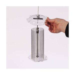 Birds Choice 1qt Forever Black Oil Sunflower Bird Feeder - Clear