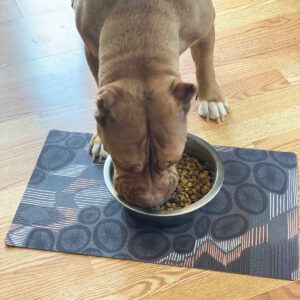Drymate Dog and Cat Feeding Placemat - Abstract Lines Brown