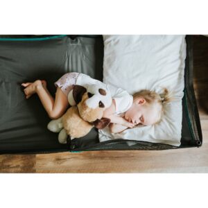 Baby Delight Go With Me Bungalow Deluxe Portable Cot