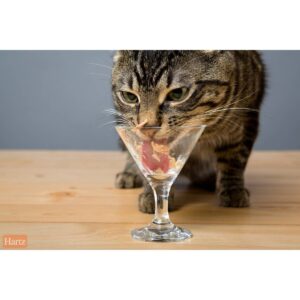 Delectables Stew Senior with Chicken & Tuna Lickable Cat Treats - 1.4oz