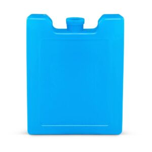 Igloo MaxCold Refreezable Ice Block 2pk - Small