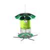 Birds Choice 3qt Forever Black Oil Sunflower - Green