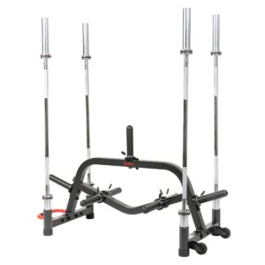 Sunny Health & Fitness Multi-Weight Plate and Barbell Rack Storage Stand
