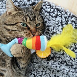Quirky Kitty Pride Meowmosa Cat Toy