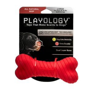 Playology Beef Scent Bone Dog Toy - Red - L