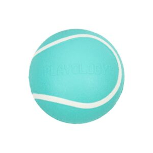 Playology Peanut Butter Scent Chew Ball Dog Toy - Blue - S