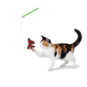 Petstages Butterfly Chase Teaser Wand Cat Toy