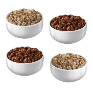 Purina Friskies Prime Filets Surfin' & Turfin' Favorites Wet Cat Food - 5.5oz/40ct Variety Pack