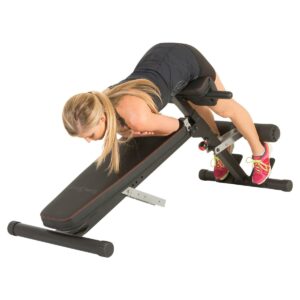 Fitness Reality X-Class Light Commercial Multi-Workout Abdominal /Hyper Back Extension Bench