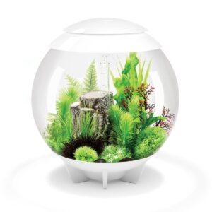 biOrb Aquatic Autumn Fern Set Aquarium Artificial Plants - Green - 2pc