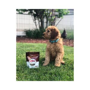 Fruitables Skinny Minis Apple Bacon Flavor Healthy Low Calorie Dog Treats - 12oz