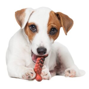 Nylabone Rubber Braid Dog Bone - S