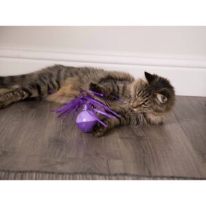 SmartyKat Twirly Top Electronic Motion Cat Toy