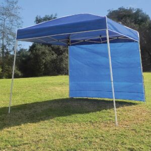Z-Shade 10' x 10' Angled Leg Canopy & 4 Taffeta Sidewall Accessory Packs, Blue