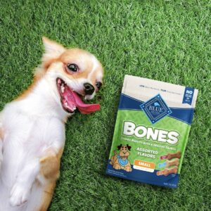 Blue Buffalo Assorted Flavored Dog Biscuits Dog Treats - Small - 16oz