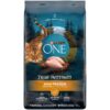 Purina ONE True Instinct Grain Free with Real Chicken Adult Premium Dry Cat Food - 6.3lbs