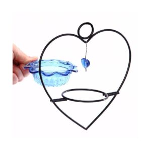 Birds Choice Bluebird Heart Feeder