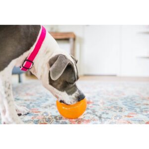 Planet Dog Orbee-Tuff Snoop Dog Toy - Orange