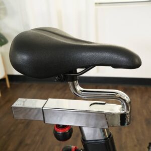 Sunny Health & Fitness Belt Drive Indoor Cycling Exercise Bike